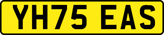 YH75EAS