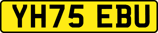 YH75EBU