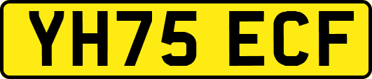 YH75ECF