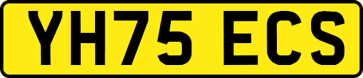 YH75ECS