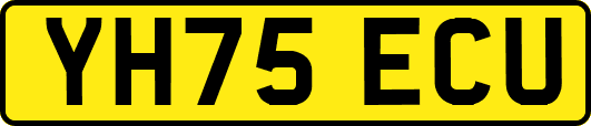 YH75ECU