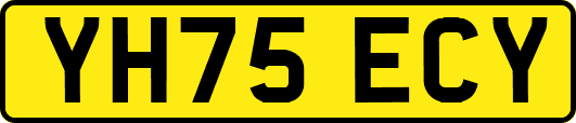 YH75ECY