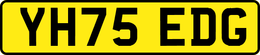 YH75EDG