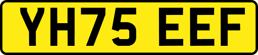 YH75EEF