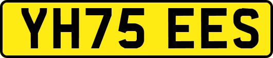 YH75EES