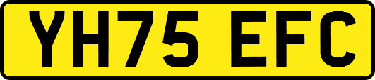 YH75EFC