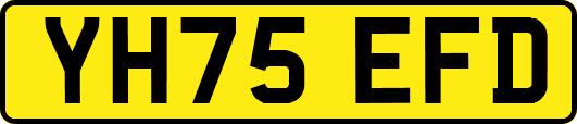 YH75EFD