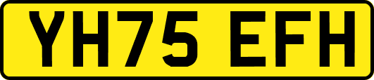 YH75EFH