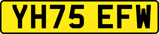 YH75EFW