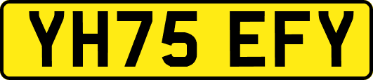 YH75EFY