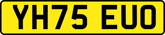 YH75EUO