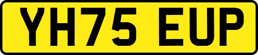 YH75EUP