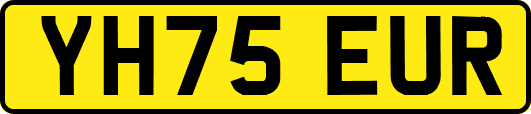 YH75EUR
