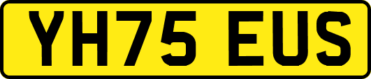 YH75EUS