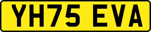 YH75EVA