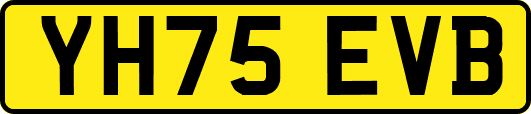 YH75EVB