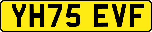 YH75EVF