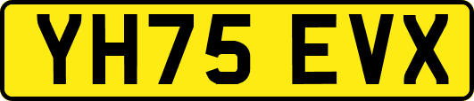 YH75EVX