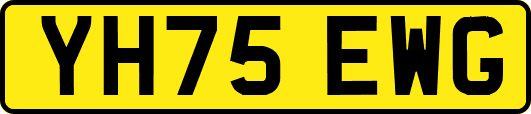 YH75EWG