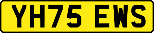 YH75EWS