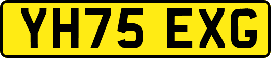 YH75EXG