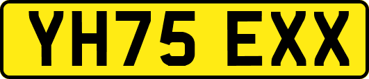 YH75EXX