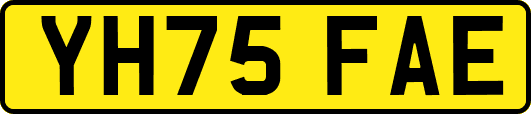 YH75FAE