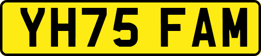 YH75FAM