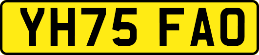 YH75FAO