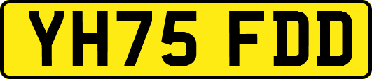YH75FDD