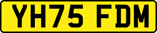 YH75FDM