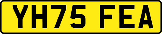 YH75FEA