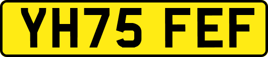 YH75FEF