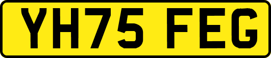 YH75FEG
