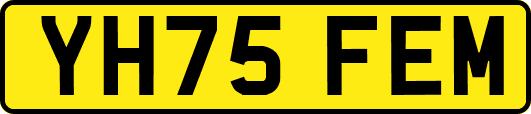 YH75FEM