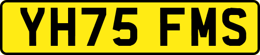 YH75FMS