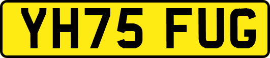YH75FUG