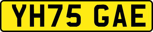 YH75GAE