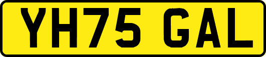 YH75GAL