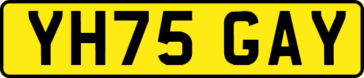 YH75GAY
