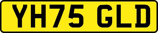 YH75GLD