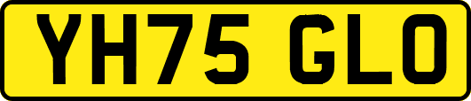 YH75GLO