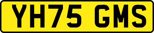 YH75GMS