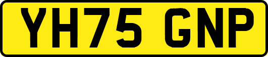 YH75GNP