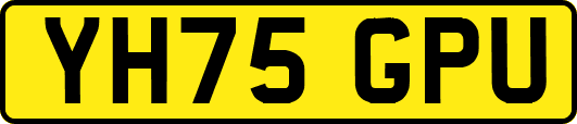 YH75GPU