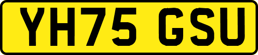 YH75GSU