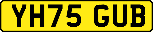 YH75GUB