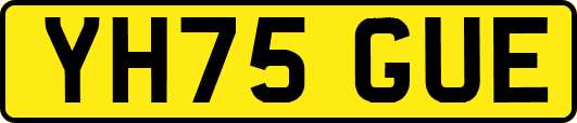 YH75GUE