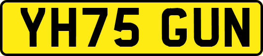YH75GUN