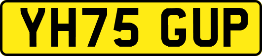 YH75GUP